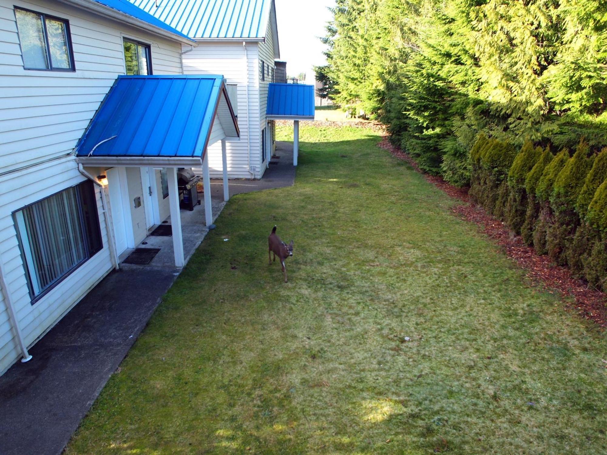 Whale'S Tail Guest Suites Ucluelet Luaran gambar